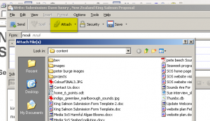 Attach File to Email